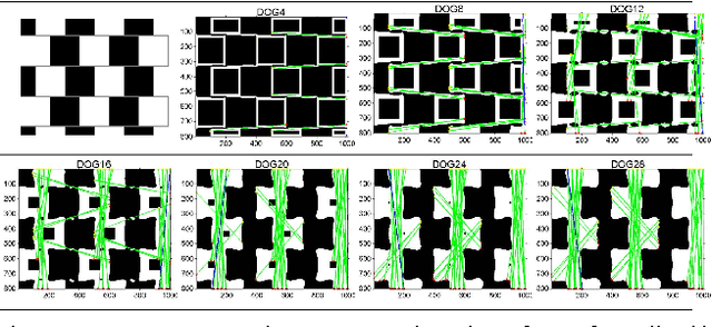 Figure 3 for A quantitative analysis of tilt in the Café Wall illusion: a bioplausible model for foveal and peripheral vision