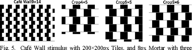 Figure 4 for A quantitative analysis of tilt in the Café Wall illusion: a bioplausible model for foveal and peripheral vision