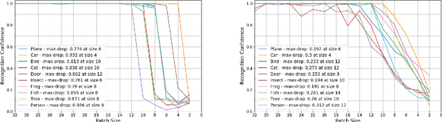 Figure 4 for On the Minimal Recognizable Image Patch