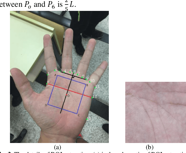Figure 3 for Towards Efficient Unconstrained Palmprint Recognition via Deep Distillation Hashing
