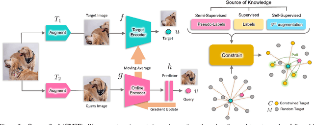 Figure 3 for Constrained Mean Shift Using Distant Yet Related Neighbors for Representation Learning