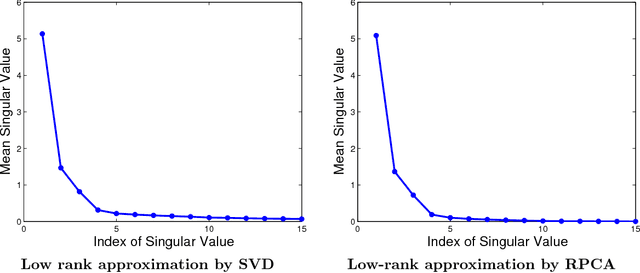 Figure 1 for Sparsity and Robustness in Face Recognition