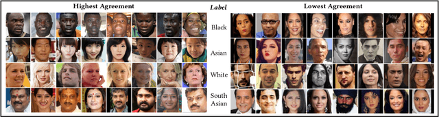 Figure 1 for One Label, One Billion Faces: Usage and Consistency of Racial Categories in Computer Vision
