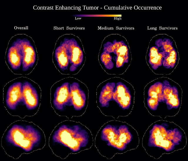 Figure 4 for Deep Learning versus Classical Regression for Brain Tumor Patient Survival Prediction