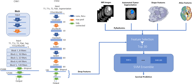 Figure 1 for Deep Learning versus Classical Regression for Brain Tumor Patient Survival Prediction