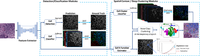Figure 3 for Multi-Class Cell Detection Using Spatial Context Representation