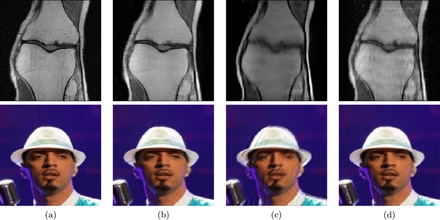 Figure 1 for Model Adaptation for Inverse Problems in Imaging