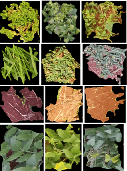 Figure 4 for Supervised learning for crop/weed classification based on color and texture features