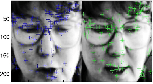 Figure 1 for Face Identification by SIFT-based Complete Graph Topology