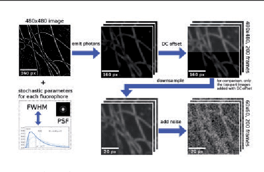 Figure 3 for DLBI: Deep learning guided Bayesian inference for structure reconstruction of super-resolution fluorescence microscopy
