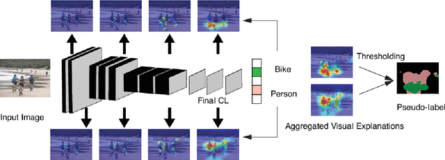 Figure 1 for Zoom-CAM: Generating Fine-grained Pixel Annotations from Image Labels