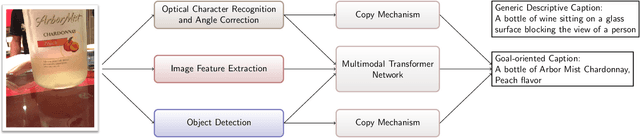 Figure 3 for Image Captioning as an Assistive Technology: Lessons Learned from VizWiz 2020 Challenge