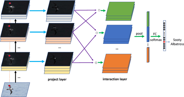 Figure 1 for Hierarchical Bilinear Pooling for Fine-Grained Visual Recognition