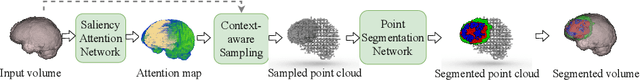Figure 3 for Point-Unet: A Context-aware Point-based Neural Network for Volumetric Segmentation