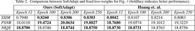 Figure 3 for SoftAdapt: Techniques for Adaptive Loss Weighting of Neural Networks with Multi-Part Loss Functions