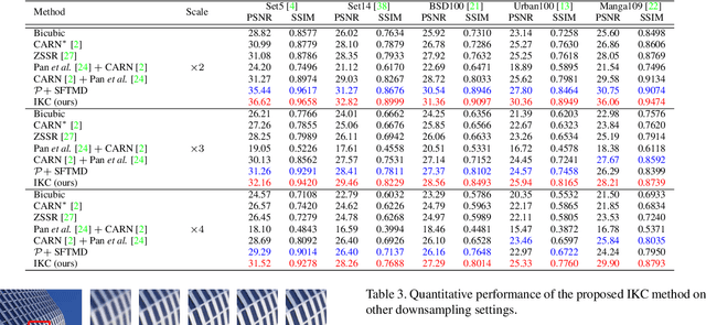 Figure 4 for Blind Super-Resolution With Iterative Kernel Correction