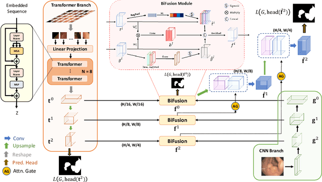 Figure 1 for TransFuse: Fusing Transformers and CNNs for Medical Image Segmentation