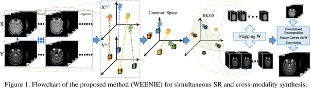 Figure 1 for Simultaneous Super-Resolution and Cross-Modality Synthesis of 3D Medical Images using Weakly-Supervised Joint Convolutional Sparse Coding