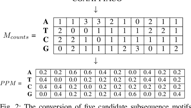 Figure 1 for Motif Identification using CNN-based Pairwise Subsequence Alignment Score Prediction