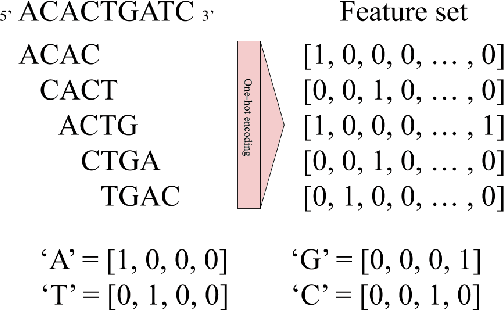Figure 2 for Motif Identification using CNN-based Pairwise Subsequence Alignment Score Prediction