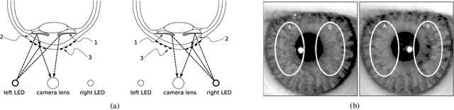 Figure 2 for Iris Presentation Attack Detection Based on Photometric Stereo Features