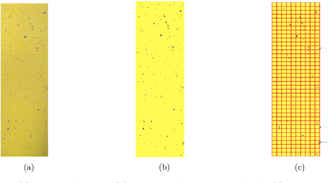 Figure 3 for Color-complexity enabled exhaustive color-dots identification and spatial patterns testing in images