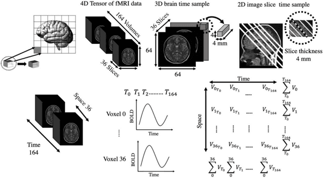 Figure 3 for Using CNNs for AD classification based on spatial correlation of BOLD signals during the observation