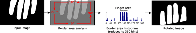 Figure 4 for Mobile Touchless Fingerprint Recognition: Implementation, Performance and Usability Aspects