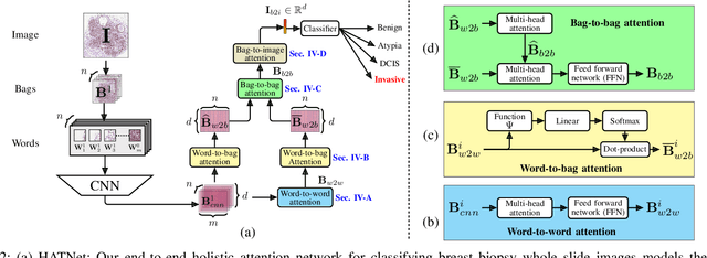 Figure 2 for HATNet: An End-to-End Holistic Attention Network for Diagnosis of Breast Biopsy Images