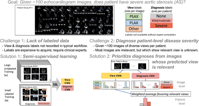 Figure 1 for A New Semi-supervised Learning Benchmark for Classifying View and Diagnosing Aortic Stenosis from Echocardiograms