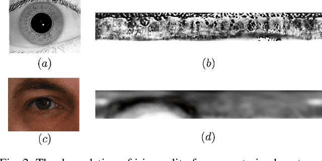 Figure 3 for Morton Filters for Superior Template Protection for Iris Recognition