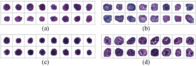 Figure 4 for Unsupervised Learning for Cell-level Visual Representation in Histopathology Images with Generative Adversarial Networks