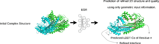 Figure 1 for EGR: Equivariant Graph Refinement and Assessment of 3D Protein Complex Structures