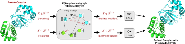 Figure 3 for EGR: Equivariant Graph Refinement and Assessment of 3D Protein Complex Structures