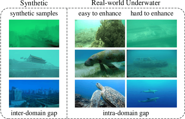 Figure 1 for Domain Adaptation for Underwater Image Enhancement