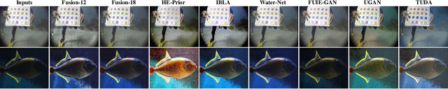 Figure 4 for Domain Adaptation for Underwater Image Enhancement
