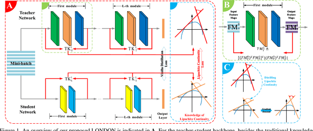 Figure 1 for Lipschitz Continuity Guided Knowledge Distillation