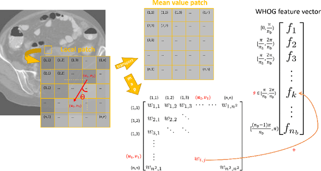 Figure 1 for Wasserstein Image Local Analysis: Histogram of Orientations, Smoothing and Edge Detection