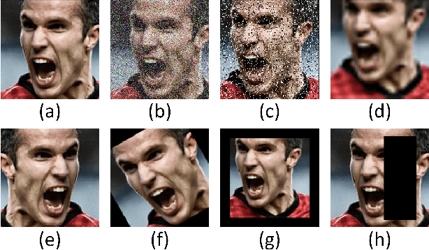 Figure 4 for Robust and Precise Facial Landmark Detection by Self-Calibrated Pose Attention Network