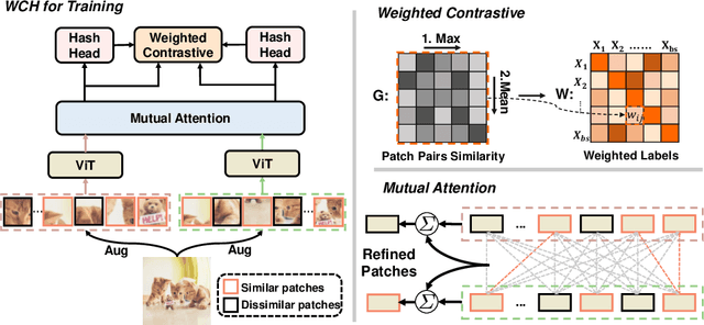 Figure 3 for Weighted Contrastive Hashing