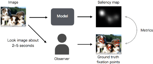 Figure 1 for Influence of Image Classification Accuracy on Saliency Map Estimation