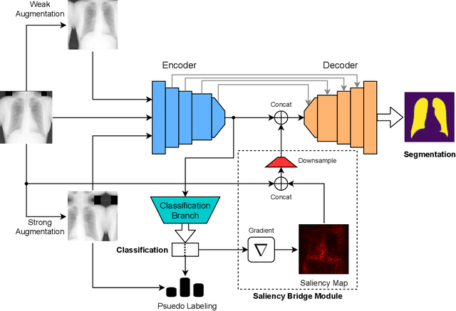 Figure 1 for Generalized Multi-Task Learning from Substantially Unlabeled Multi-Source Medical Image Data
