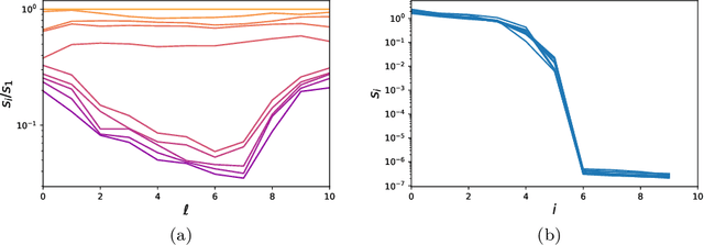 Figure 1 for Implicit Bias of Large Depth Networks: a Notion of Rank for Nonlinear Functions