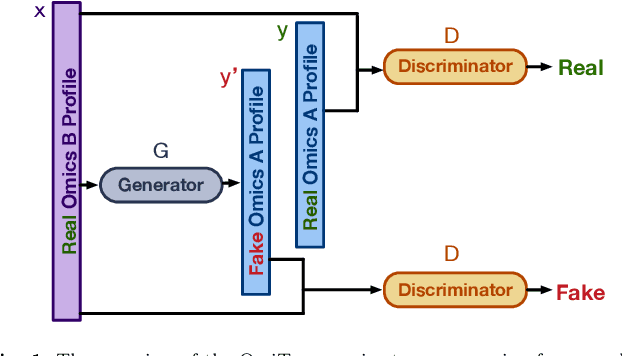 Figure 1 for OmiTrans: generative adversarial networks based omics-to-omics translation framework