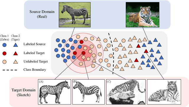 Figure 3 for Semi-Supervised Domain Adaptation via Selective Pseudo Labeling and Progressive Self-Training