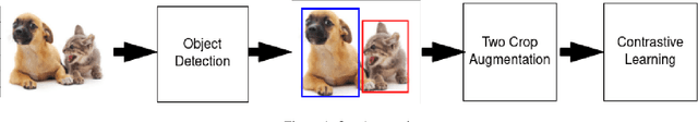 Figure 1 for Contrastive Learning for Object Detection