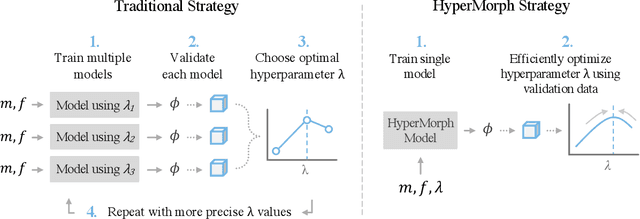 Figure 1 for Learning the Effect of Registration Hyperparameters with HyperMorph