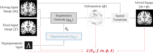 Figure 3 for Learning the Effect of Registration Hyperparameters with HyperMorph