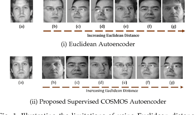 Figure 2 for Supervised COSMOS Autoencoder: Learning Beyond the Euclidean Loss!