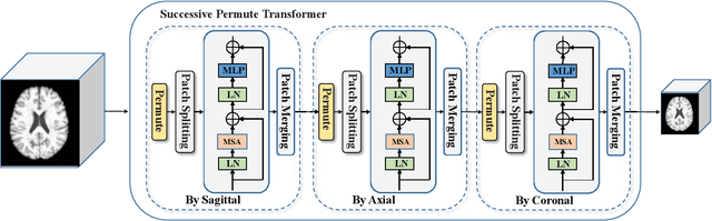 Figure 2 for Estimating Brain Age with Global and Local Dependencies